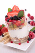 yogurt, cereals and berries