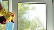 Video: Female hands washing the window at home Female hands washing the window at home