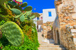 Greece Syros island view of main capitol at summer time, Syros i