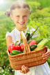 Gardening, vegetables - lovely girl with basket of vegetables