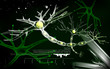 Illustration: Neuron Neuron