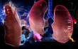 Human lungs