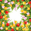 Flower background with tulips