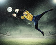 Goalkeeper catches the ball