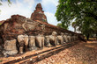 White elephant statues and ancient pagoda in Ayutthaya