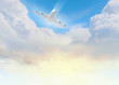 Foto: Image of airplane in sky Image of airplane in sky
