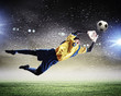 Goalkeeper catches the ball