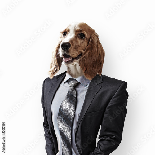 Photo: Funny portrait of a dog in a suit Funny portrait of a dog in a suit