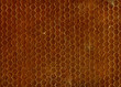 Brown Seamless Texture