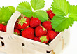 Erdbeeren