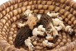 champignon