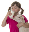 little girl drinking healthy goat milk and holding little goat