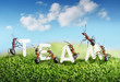 Foto: ants constructing word team with letters, teamwork ants constructing word team with letters, teamwork