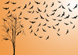 Bare tree and bird