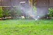 sprinkler watering the lawn in an urban garden