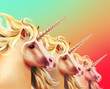 drawing of rainbow colored unicorn