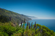 scenic view on Pacific Coast Highway one