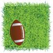 Football ball on the field