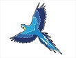 guacamayo volando