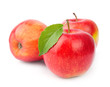 Ripe apples fruit with leaves