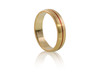 Goldener Ring freigestellt 2