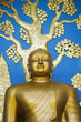 Buddha portrait from the world peace pagoda, nepal, pokhara