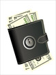 A wallet with padlock - symbolic for safety precautions