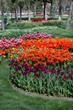 Park photo