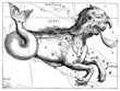 Monster - Constellation : Cetus - Baleine