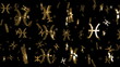Looping Silver and Gold Zodiac Pisces Symbols Falling