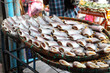 Photo: Fish Fish