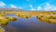 Foto: beautiful pond beautiful pond