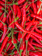 Red chilli background