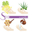 Spa and cosmetics icon