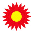 red flower on white background