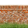 Red brick wall with green grass isolated on white