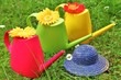 bunte Gießkannen