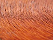 copper inductor metal