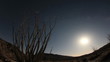 Desert  Moonrise Time Lapse