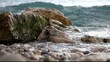 vague sur la plage de galet