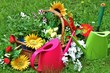 Foto: Gießkannen mir Blumen Gießkannen mir Blumen