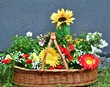 Mauerblümchen