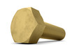 Brass bolt