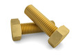 Two brass bolt