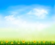Summer gaze background with blue sky and a field of dandelions.
