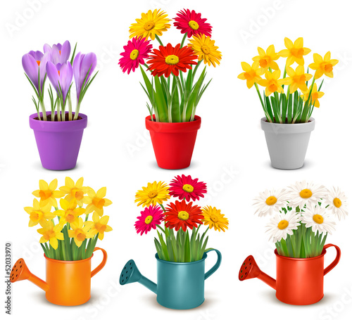 Vector: Collection of spring and summer colorful flowers in pots Collection of spring and summer colorful flowers in pots