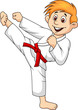 Boy doing martial art