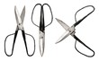 scissors