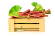 Fresh rhubarb in wooden crate