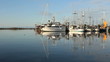 Sunny Steveston Marina